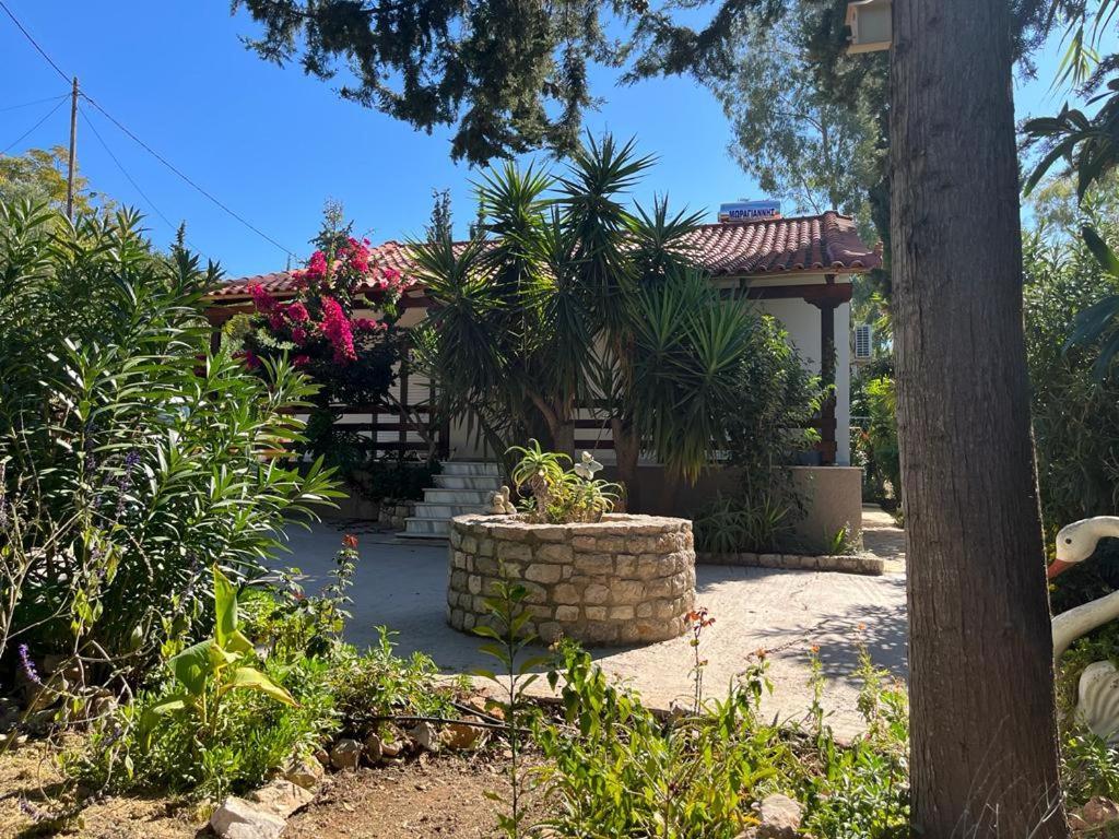 Gialova Garden Bungalow Exteriér fotografie